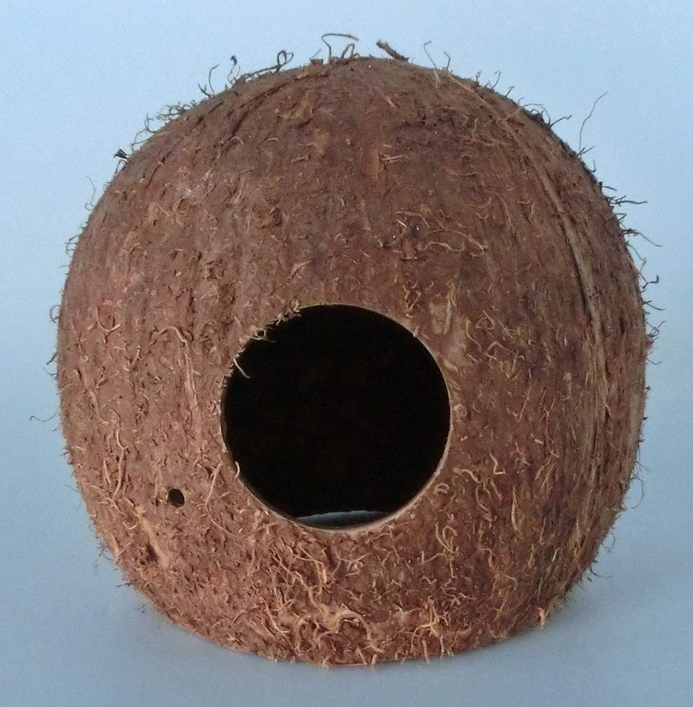 Kokosnuss-Höhle